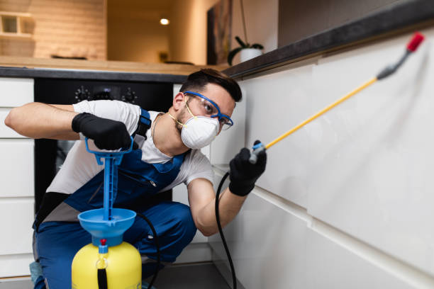 Best Pest Prevention Services  in Bee Cave, TX