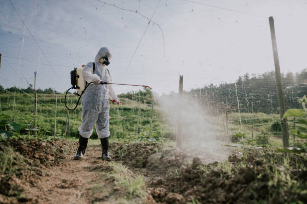 Best Best Pest Control Companies  in Bee Cave, TX