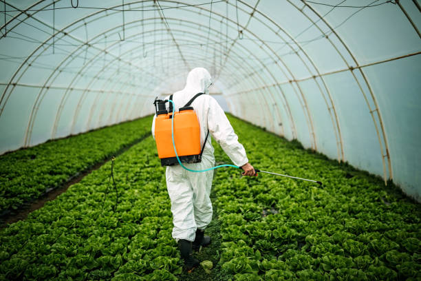 Best Wildlife Control Services  in Bee Cave, TX