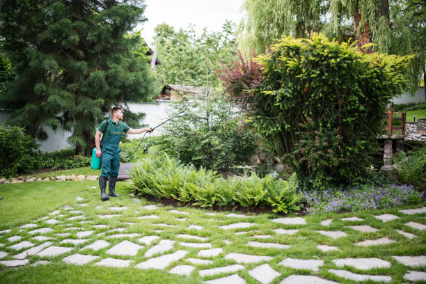 Best Best Pest Control Companies  in Bee Cave, TX